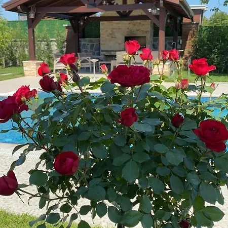 Villa_ala,,, * 사판자